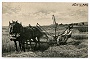 Contadino Padovano,1902. (Adriano Danieli)